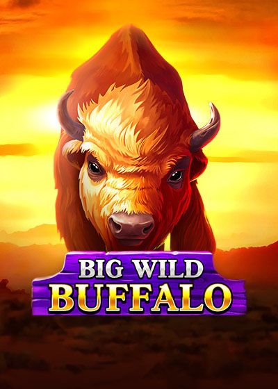 Belatra Big Wild Buffalo Game Screenshot
